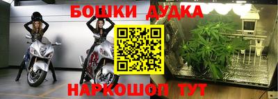 крисы Волжский