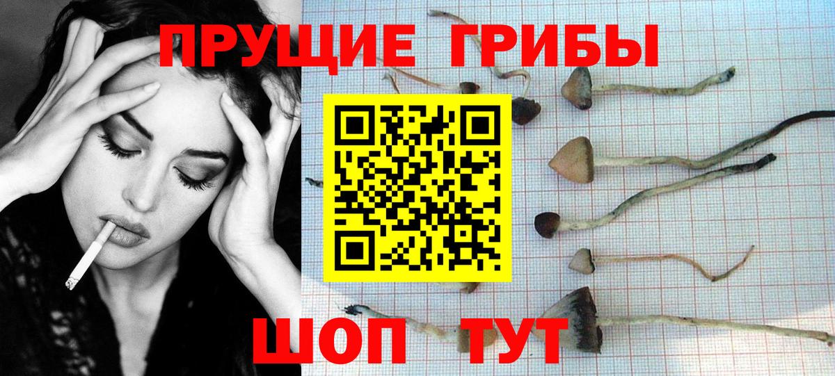 Обнинск  Псилоцибиновые грибы Psilocybine cubensis  Псилоцибиновые грибы мухоморы  Вход с VPN 
