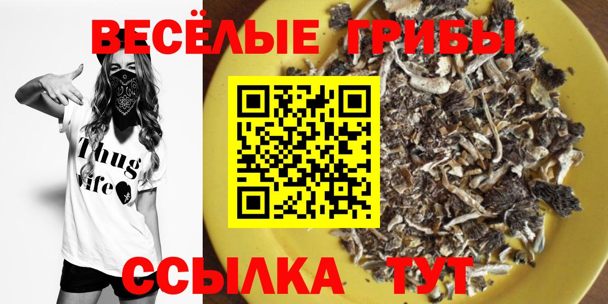 Галлюциногенные грибы мухоморы Обнинск